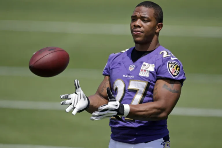 ray rice net worth